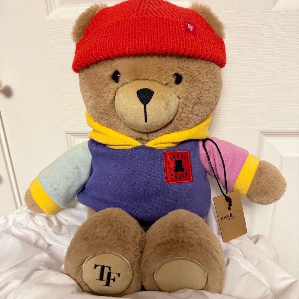 Teddy Fresh Color-Block Teddy Bear